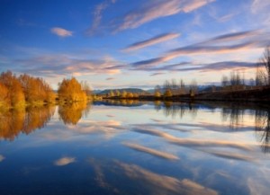 business need a quiet reflection